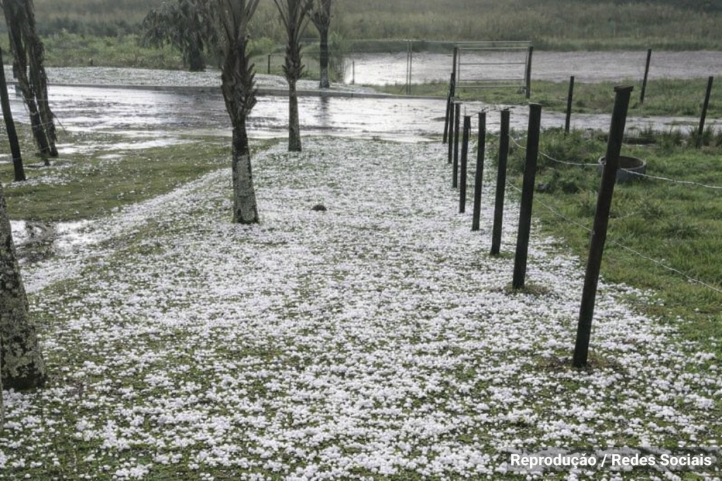 Temporal atinge litoral e interior de SP e provoca impactos em diferentes regiões temporal-atinge-litoral-e-interior-de-sp-e-provoca-impactos-em-diferentes-regioes